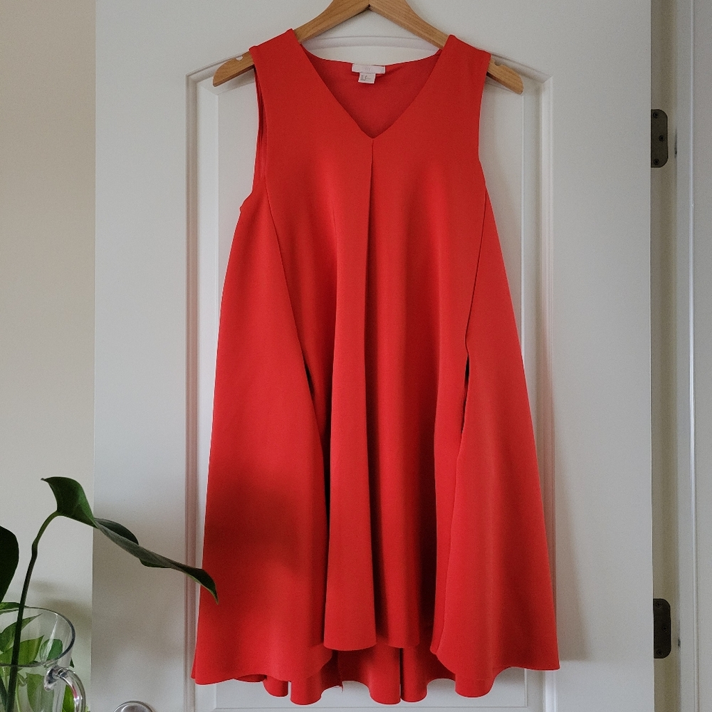 H & M Trapeze Dress